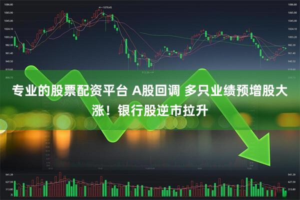 专业的股票配资平台 A股回调 多只业绩预增股大涨！银行股逆市拉升