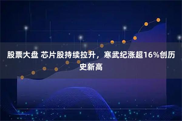 股票大盘 芯片股持续拉升，寒武纪涨超16%创历史新高